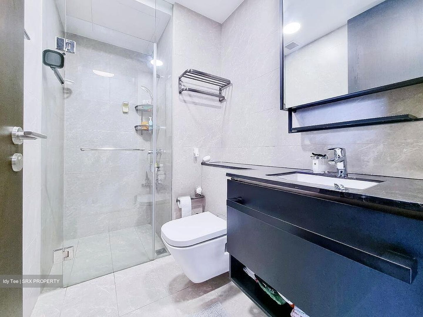 Park Colonial (D13), Condominium #498939291